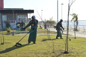 isla del puerto mantenimiento ago 2016