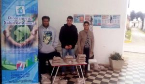 campania-dengue-set-2016