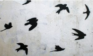 golondrinas revoloteando