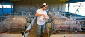 creditos nacionaes mar 2017