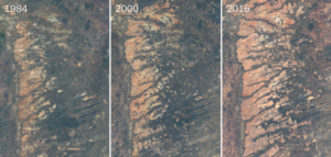 deforestacion brasil