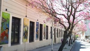 lenguaje chana mar 2017