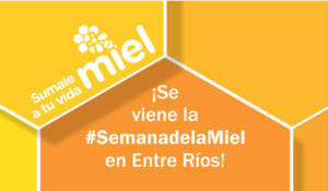 semana de la miel abr 2017