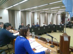 HCD en sesion jul 2017