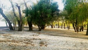 banco pelay refularan arena jul 2017