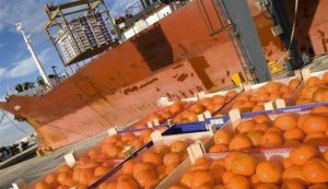 exportacion naranjas jul 2017