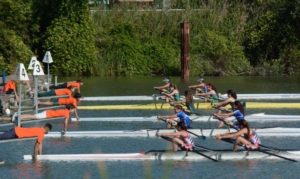 campeonato de remo ago 2017