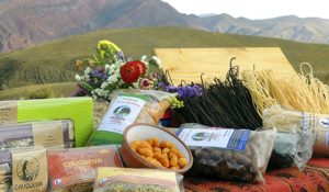 sistema alimentario ago 2017